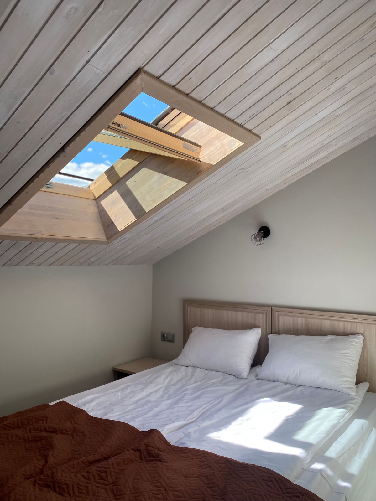 A loft conversion bedroom with rooflights by Professional Polish Builders in Croydon & South London